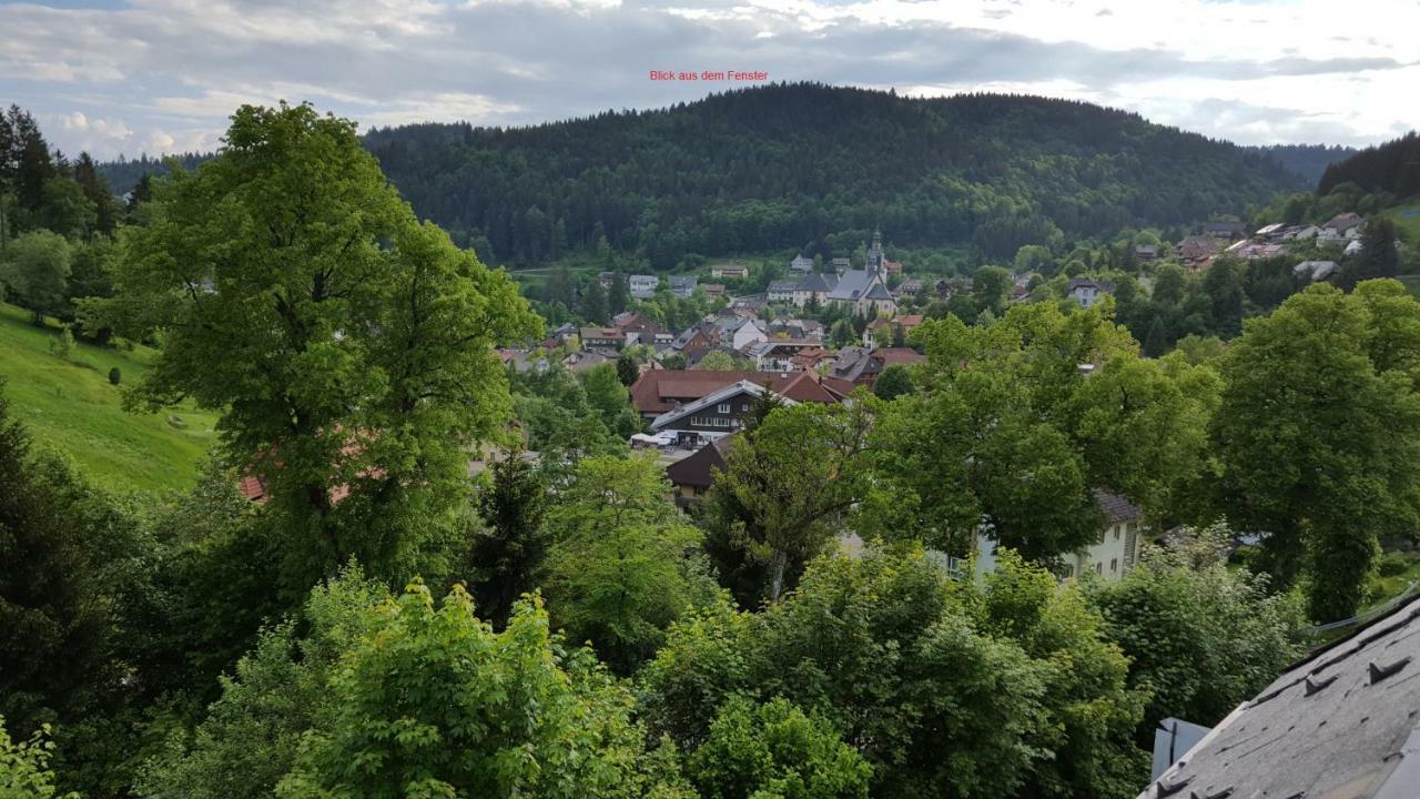 טודמוס Ferienwohnung Im Schwarzwald מראה חיצוני תמונה